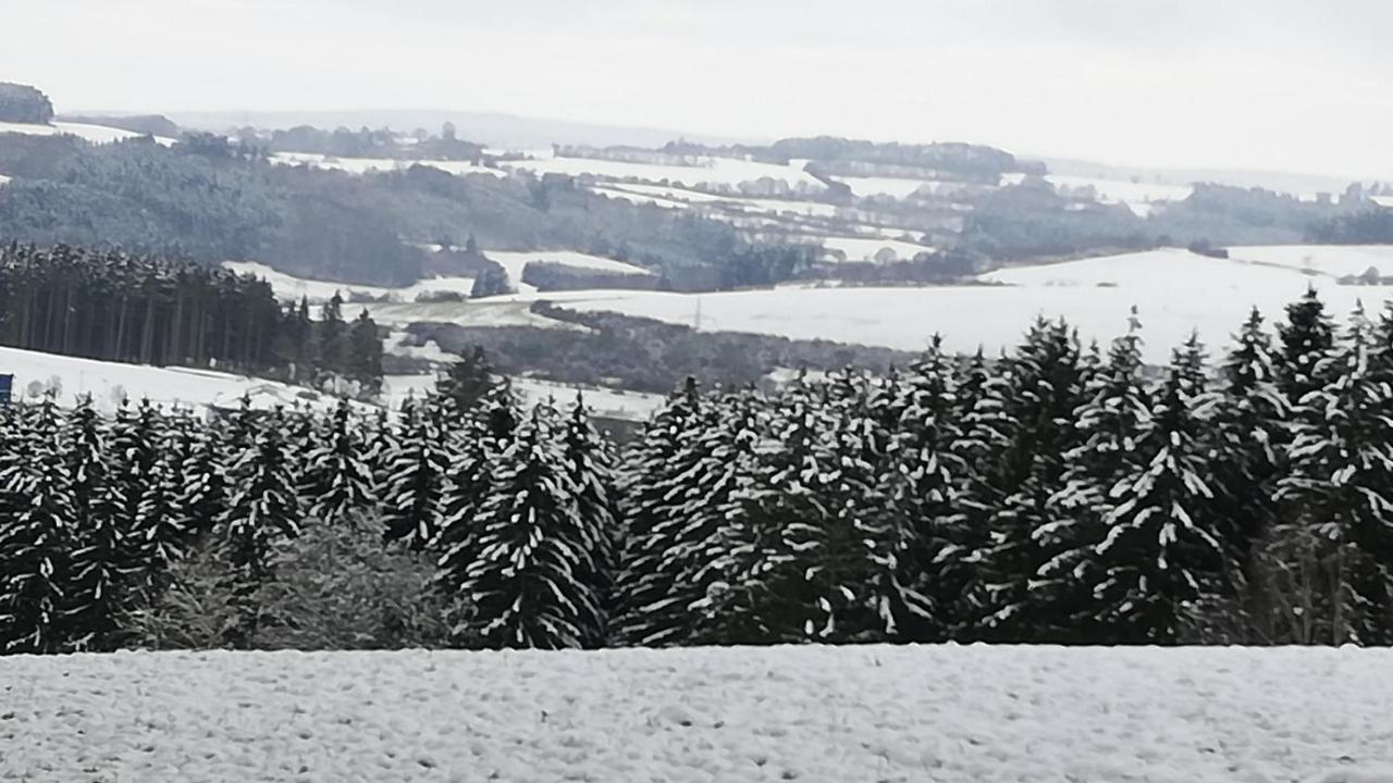 Eifel-Ferienhaus Marga Prüm Eksteriør bilde