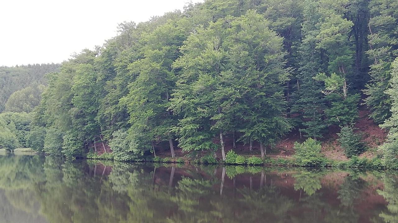 Eifel-Ferienhaus Marga Prüm Eksteriør bilde